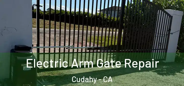 Electric Arm Gate Repair Cudahy - CA